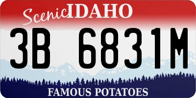 ID license plate 3B6831M