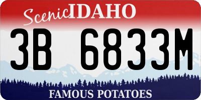 ID license plate 3B6833M