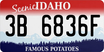 ID license plate 3B6836F