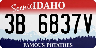 ID license plate 3B6837V