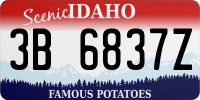 ID license plate 3B6837Z