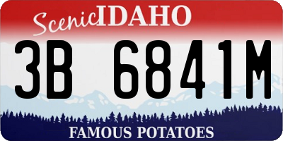 ID license plate 3B6841M