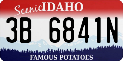ID license plate 3B6841N