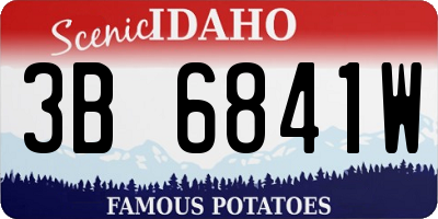 ID license plate 3B6841W