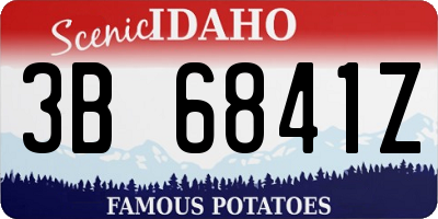 ID license plate 3B6841Z