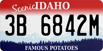 ID license plate 3B6842M
