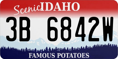 ID license plate 3B6842W