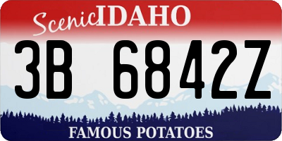 ID license plate 3B6842Z