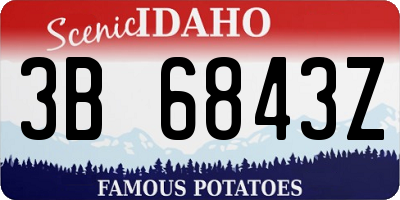 ID license plate 3B6843Z