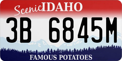 ID license plate 3B6845M