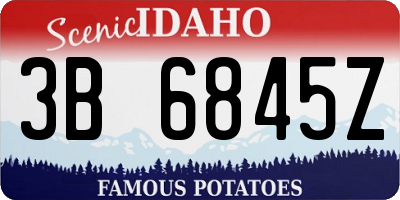 ID license plate 3B6845Z