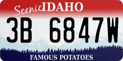 ID license plate 3B6847W