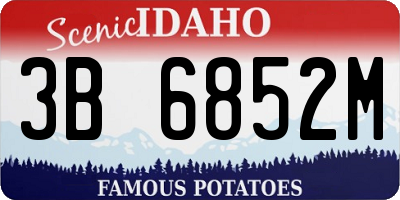 ID license plate 3B6852M