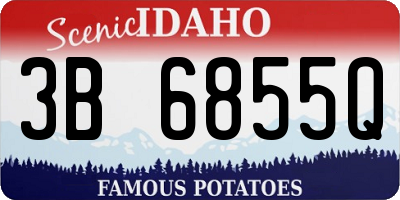 ID license plate 3B6855Q