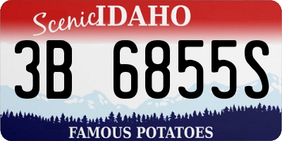 ID license plate 3B6855S