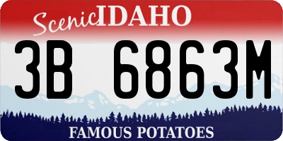 ID license plate 3B6863M