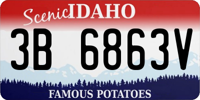 ID license plate 3B6863V