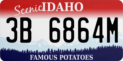 ID license plate 3B6864M