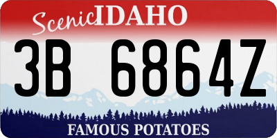 ID license plate 3B6864Z