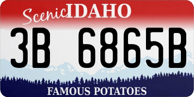 ID license plate 3B6865B