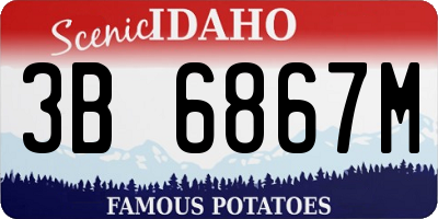 ID license plate 3B6867M