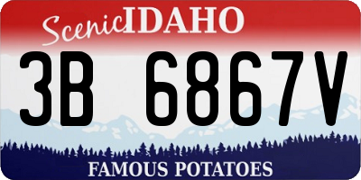 ID license plate 3B6867V