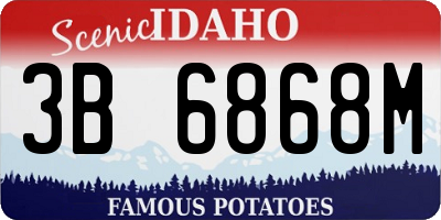 ID license plate 3B6868M