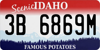 ID license plate 3B6869M