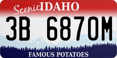 ID license plate 3B6870M