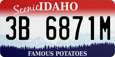 ID license plate 3B6871M