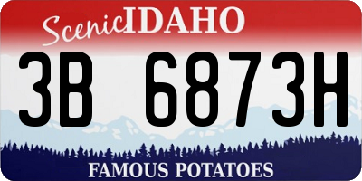 ID license plate 3B6873H