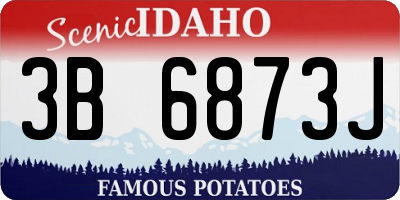 ID license plate 3B6873J