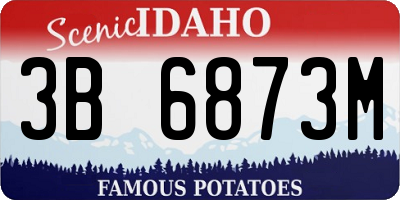 ID license plate 3B6873M
