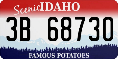 ID license plate 3B6873O