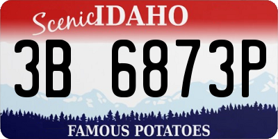 ID license plate 3B6873P