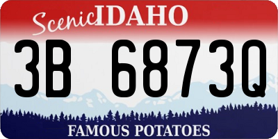 ID license plate 3B6873Q