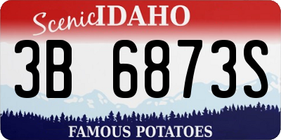 ID license plate 3B6873S