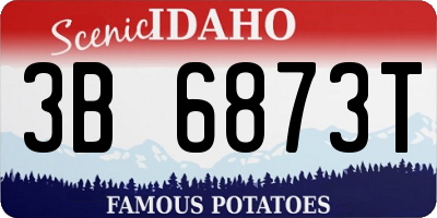 ID license plate 3B6873T