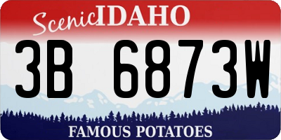 ID license plate 3B6873W