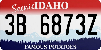 ID license plate 3B6873Z