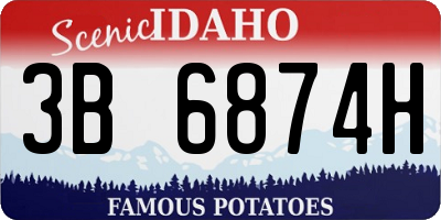 ID license plate 3B6874H