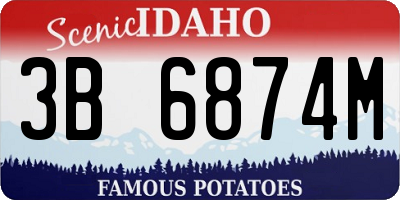 ID license plate 3B6874M