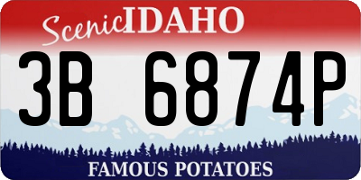 ID license plate 3B6874P