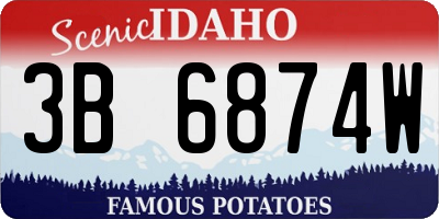 ID license plate 3B6874W