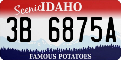 ID license plate 3B6875A