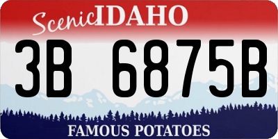 ID license plate 3B6875B