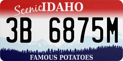 ID license plate 3B6875M