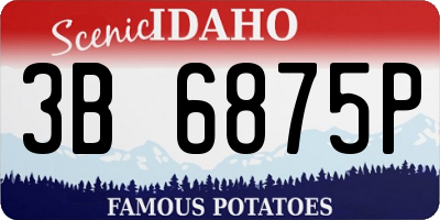ID license plate 3B6875P