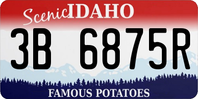 ID license plate 3B6875R