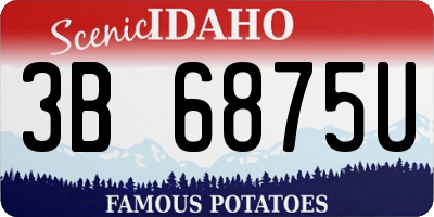 ID license plate 3B6875U